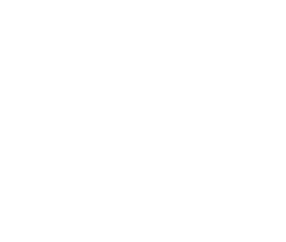 logoWhite-voltairerecord.webp